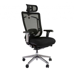Executive Mesh Chair Supplier In Uae And Africa 