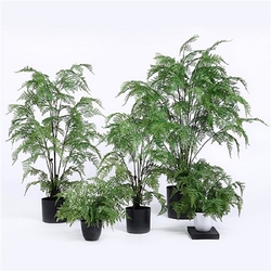 Artificial Indoor Ferns With Multi Stems