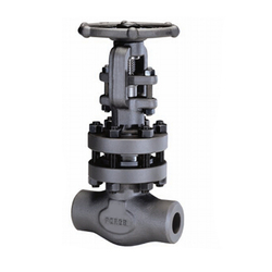 1 Inch Forged Gate Valve