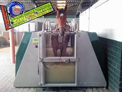 Horse Training Equipments Supply & Services