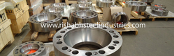  Alloy Steel A182 F91 Flanges
