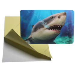 Custom 3d Lenticular Adhesive Sticker-cheap Promotional Pp Pet Lenticular Sheet 3d Sticker Printing