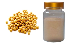 Soybean Extract      Soy Isoflavones    saponins