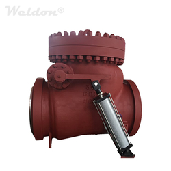 Swing Check Valve with Cylinder, WCB, API 6D, 30 I ...