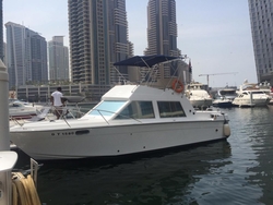 33 Feet Riverside Boat Charter And Rental 