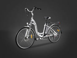 Electric Bike/pedelec-ts-eb006