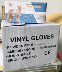 Vinyl Disposable  Gloves Supplier In Dubai