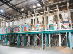 Automatic Rice Mill Plant For Sale