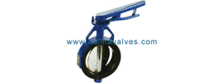 Butterfly Valve from AAIMA ENGINEERING COMPANY