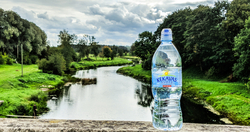 Natural Mineral Water 1l Pet Bottled Artesian Water 