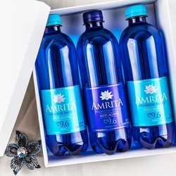 Amrita Alkaline Anti-aging Mineral Water 500ml Still Sparkling 