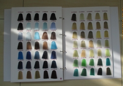 Hair Color Swatches
