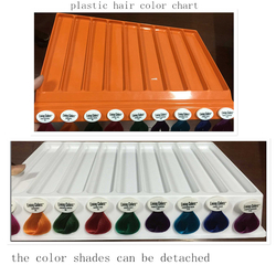 Detachable Plastic Hair Color Swatch Book
