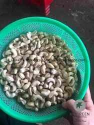 Vietnamese Cashew Nut Kernels Lwb