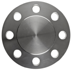 SS Blind Flange from TRYCHEM METAL AND ALLOYS