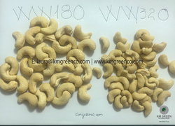 Vietnamese Cashew Nut Kernels Ww180