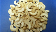 Vietnamese Cashew Nut Kernels Ws