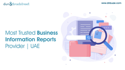 Error-free Business Rating And Information Reports | Dnb Uae