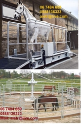 Horse Walker Machine Dog Walker Machine Horse Training Machine Supplier Dealer In Dubai Uae