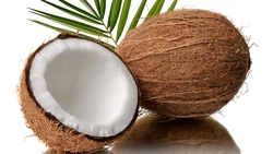 Fresh Coconut For Food use and other products