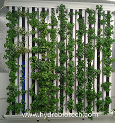 Vertical Farm Hydroponic Growing System Double-sided Rack