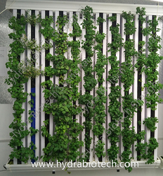 Vertical Farm Hydroponic Growing System Single-sided Rack