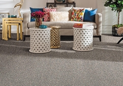 Carpet And Rug Suppliers New