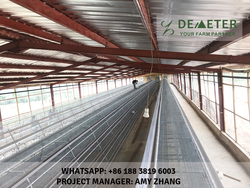 Poultry Farms Chicken Cage Layer Battery Cage