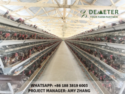 4-tier A-type Layer Chicken Cage For Sale In Africa
