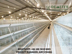 Chicken Layer Cages For Sale In Nigeria