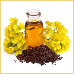 Mustard Oil (kachi Ghani)