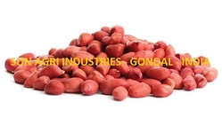 Groundnut