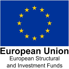 Business Angels Looking for Private Businesses open to Investments