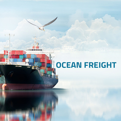 China Freight Forwarder Sea Freight Shipping From China To Usa / Canada / Mexico And Europe