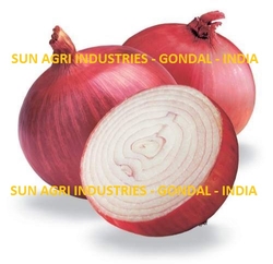 Onion