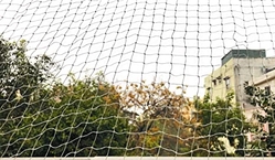 Bird protection net