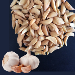 Dehydrated Garlic from ELLIPSIS INTERNATIONA;