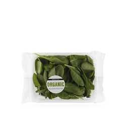 Organic Baby Spinach Salad 