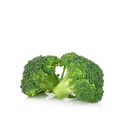Broccoli Spain