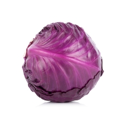 Red Cabbage Holland
