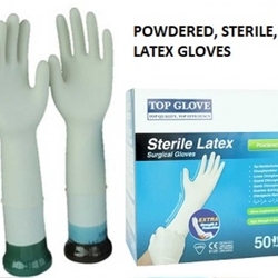  Sterile Latex Surgical Glove, Powdered