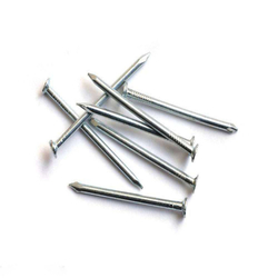 Common Wire Nail 
