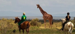 Skysafari Kenya