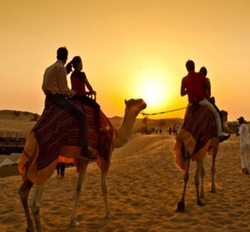 Morning Desert Safari- Dune Bashing & Camel Ride