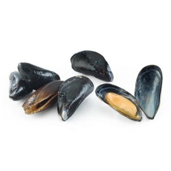 Italian Mussels