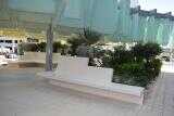 Concrete Planter pot Supplier in Abu Dhabi 