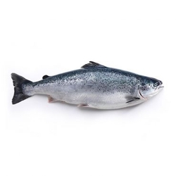 Farmed Salmon  from FRESH EXPRESS