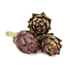 Violet Baby Artichoke  from FRESH EXPRESS