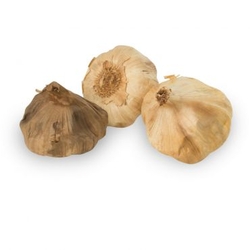Bulb Black Garlic 