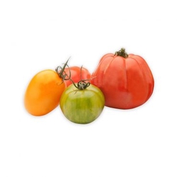 Heirloom Tomato 